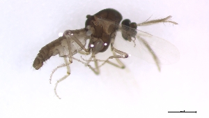  ( - TSZD-PD-300345)  @11 [ ] by-nc-sa (2023) Unspecified Tromsoe University Museum