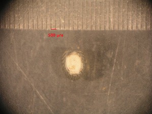  ( - RUN-MAC-25)  @11 [ ] Copyright (2025) Unspecified OCEA Consult