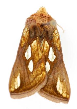  ( - jflandry2994)  @12 [ ] Copyright (2007) Jean-Francois Landry Canadian National Collection