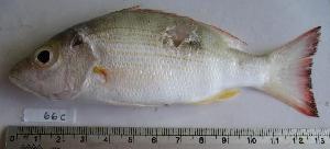  ( - MX225)  @14 [ ] Unspecified (default): All Rights Reserved  Unspecified Unspecified