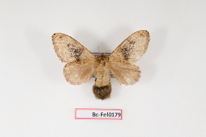  ( - Bc-Fel0179)  @11 [ ] Unspecified (default): All Rights Reserved  Unspecified Unspecified
