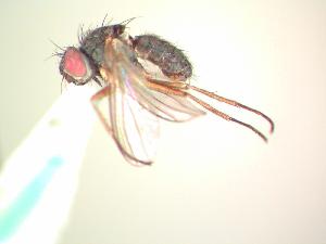 ( - BUIC-AK001)  @12 [ ] Unspecified (default): All Rights Reserved  Unspecified Unspecified