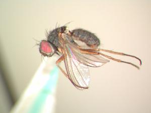  ( - BUIC-AK001)  @13 [ ] Unspecified (default): All Rights Reserved  Unspecified Unspecified