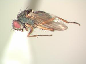  ( - BUIC-AK002)  @13 [ ] Unspecified (default): All Rights Reserved  Unspecified Unspecified