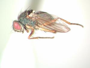  ( - BUIC-AK002)  @13 [ ] Unspecified (default): All Rights Reserved  Unspecified Unspecified