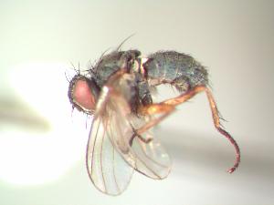  ( - BUIC-AK003)  @13 [ ] Unspecified (default): All Rights Reserved  Unspecified Unspecified