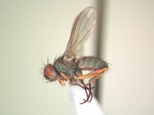  ( - BUIC-AK006)  @13 [ ] Unspecified (default): All Rights Reserved  Unspecified Unspecified
