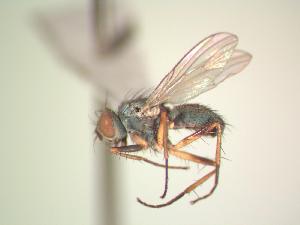  ( - BUIC-AK007)  @13 [ ] Unspecified (default): All Rights Reserved  Unspecified Unspecified