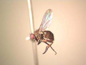  ( - BUIC-AK010)  @13 [ ] Unspecified (default): All Rights Reserved  Unspecified Unspecified