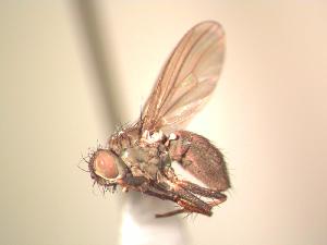  ( - BUIC-AK011)  @14 [ ] Unspecified (default): All Rights Reserved  Unspecified Unspecified