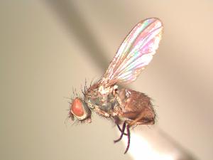  ( - BUIC-AK012)  @13 [ ] Unspecified (default): All Rights Reserved  Unspecified Unspecified