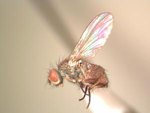  ( - BUIC-AK012)  @13 [ ] Unspecified (default): All Rights Reserved  Unspecified Unspecified