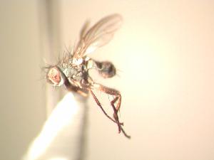  ( - BUIC-AK013)  @13 [ ] Unspecified (default): All Rights Reserved  Unspecified Unspecified