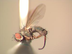  ( - BUIC-AK014)  @13 [ ] Unspecified (default): All Rights Reserved  Unspecified Unspecified