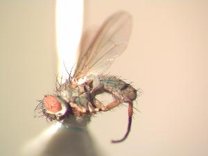  ( - BUIC-AK014)  @13 [ ] Unspecified (default): All Rights Reserved  Unspecified Unspecified