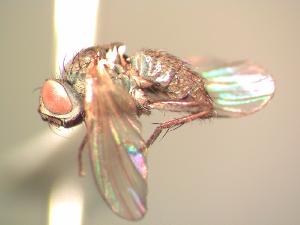  ( - BUIC-AK015)  @13 [ ] Unspecified (default): All Rights Reserved  Unspecified Unspecified