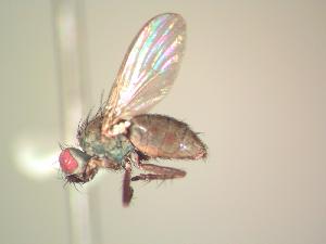  ( - BUIC-AK016)  @13 [ ] Unspecified (default): All Rights Reserved  Unspecified Unspecified