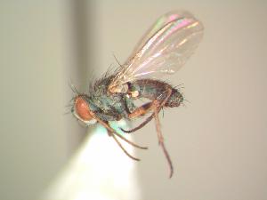  ( - BUIC-AK017)  @13 [ ] Unspecified (default): All Rights Reserved  Unspecified Unspecified