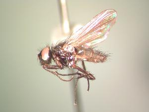  ( - BUIC-AK020)  @12 [ ] Unspecified (default): All Rights Reserved  Unspecified Unspecified