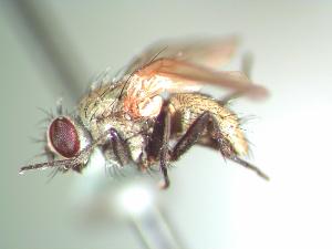  ( - BUIC-AK077)  @12 [ ] Unspecified (default): All Rights Reserved  Unspecified Unspecified