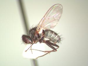  ( - BUIC-AK079)  @13 [ ] Unspecified (default): All Rights Reserved  Unspecified Unspecified