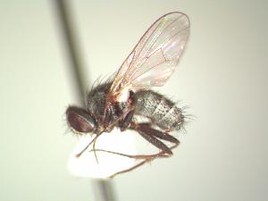  ( - BUIC-AK079)  @12 [ ] Unspecified (default): All Rights Reserved  Unspecified Unspecified