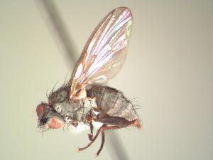  ( - BUIC-AK080)  @12 [ ] Unspecified (default): All Rights Reserved  Unspecified Unspecified