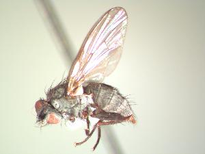  ( - BUIC-AK080)  @12 [ ] Unspecified (default): All Rights Reserved  Unspecified Unspecified