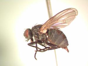  ( - BUIC-AK094)  @13 [ ] Unspecified (default): All Rights Reserved  Unspecified Unspecified