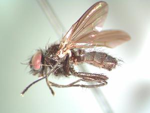  ( - BUIC-AK106)  @12 [ ] Unspecified (default): All Rights Reserved  Unspecified Unspecified