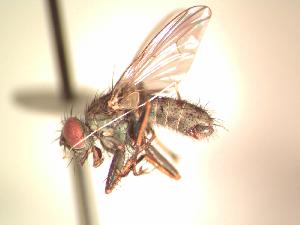  ( - BUIC-AK116)  @12 [ ] Unspecified (default): All Rights Reserved  Unspecified Unspecified