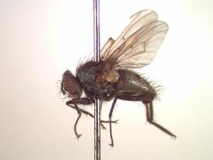  ( - BUIC-CHU0002)  @13 [ ] Unspecified (default): All Rights Reserved  Unspecified Unspecified
