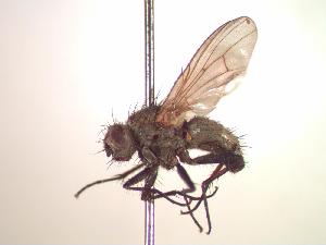  ( - BUIC-CHU0004)  @13 [ ] Unspecified (default): All Rights Reserved  Unspecified Unspecified