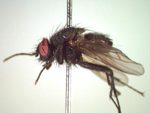  ( - BUIC-CHU0017)  @13 [ ] Unspecified (default): All Rights Reserved  Unspecified Unspecified