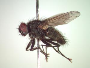  ( - BUIC-CHU0018)  @13 [ ] Unspecified (default): All Rights Reserved  Unspecified Unspecified