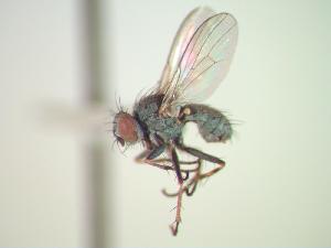  ( - BUIC-CHU0038)  @12 [ ] Unspecified (default): All Rights Reserved  Unspecified Unspecified