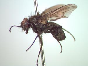  ( - BUIC-CHU0178)  @12 [ ] Unspecified (default): All Rights Reserved  Unspecified Unspecified