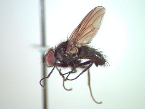  ( - BUIC-CHU0179)  @13 [ ] Unspecified (default): All Rights Reserved  Unspecified Unspecified