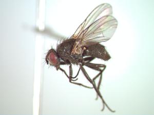  ( - BUIC-CHU0181)  @12 [ ] Unspecified (default): All Rights Reserved  Unspecified Unspecified