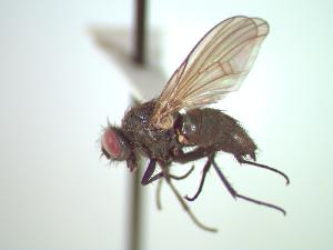  ( - BUIC-CHU0183)  @12 [ ] Unspecified (default): All Rights Reserved  Unspecified Unspecified