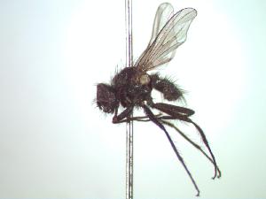  ( - BUIC-CHU0184)  @13 [ ] Unspecified (default): All Rights Reserved  Unspecified Unspecified