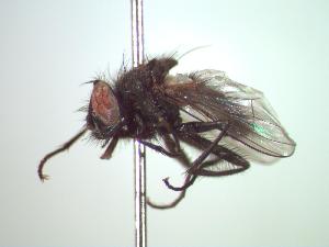  ( - BUIC-CHU0186)  @12 [ ] Unspecified (default): All Rights Reserved  Unspecified Unspecified