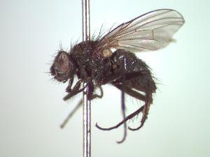 ( - BUIC-CHU0187)  @12 [ ] Unspecified (default): All Rights Reserved  Unspecified Unspecified
