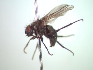  ( - BUIC-CHU0188)  @13 [ ] Unspecified (default): All Rights Reserved  Unspecified Unspecified