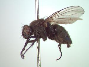  ( - BUIC-CHU0189)  @13 [ ] Unspecified (default): All Rights Reserved  Unspecified Unspecified