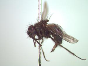  ( - BUIC-CHU0190)  @12 [ ] Unspecified (default): All Rights Reserved  Unspecified Unspecified