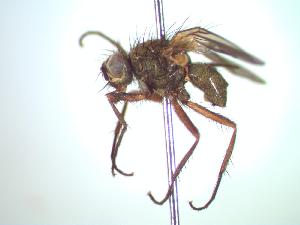 ( - BUIC-CHU0195)  @12 [ ] Unspecified (default): All Rights Reserved  Unspecified Unspecified