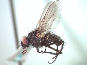  ( - BUIC-CHU0202)  @13 [ ] Unspecified (default): All Rights Reserved  Unspecified Unspecified
