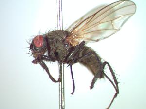  ( - BUIC-CHU0207)  @13 [ ] Unspecified (default): All Rights Reserved  Unspecified Unspecified