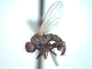  ( - BUIC-CHU0324)  @13 [ ] Unspecified (default): All Rights Reserved  Unspecified Unspecified